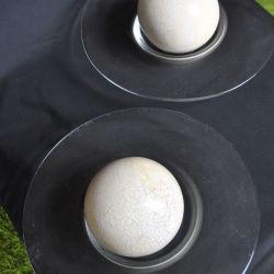 Schalen van glas met 2 ballen, decoratie