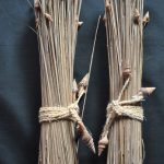Decoratie voor in vazen, 2 samengebonden bosjes riet met kleine schelpjes