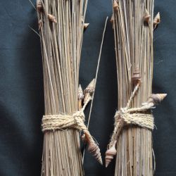 Decoratie voor in vazen, 2 samengebonden bosjes riet met kleine schelpjes