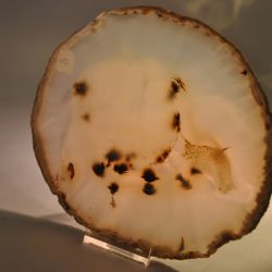 Gepolijste natuurstenen schijf (nr. 8)