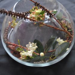 Grote decoratieve schaal