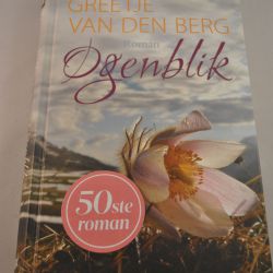 Ogenblik, roman, Greetje van den Berg