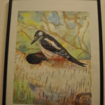 Aquarel "specht"