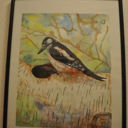 Aquarel "specht"