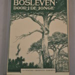 J. de Jonge: Bosleven