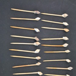 18 cocktailprikkers (met schelpjes)