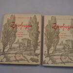 S. van der Werff en S.H. Woudstra: Zwerfvogels