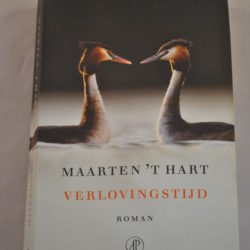 Maarten 't Hart: Verlovingstijd (roman)