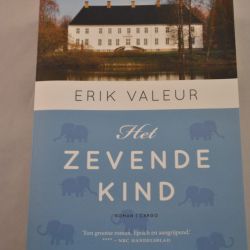 Erik Valeur: Het zevende kind (roman)