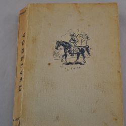 D. Hennessey: Vogelvrij (roman)