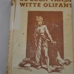 M.A.M. Renes-Boldingh: De zoon van de Witte Olifant