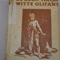 M.A.M. Renes-Boldingh: De zoon van de Witte Olifant