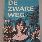 A.M. de Jong: De zware weg