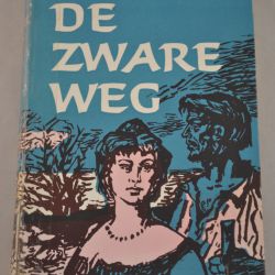 A.M. de Jong: De zware weg