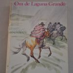 Siny van Iterson: Om de Laguna Grande