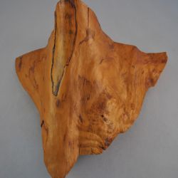 houtsculptuur (boomstronk)