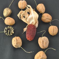 Kerst- of paasversiering (natuurlijke materialen)