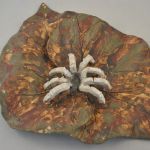 Witte spin op blad (keramiek)