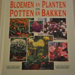 Creatief met Bloemen en Planten in Potten en Bakken