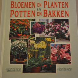 Creatief met Bloemen en Planten in Potten en Bakken