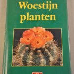 R&B: Woestijnplanten
