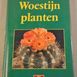 R&B: Woestijnplanten