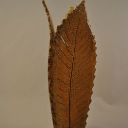 Kunstobject "vaas", keramiek