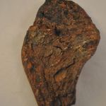 Houten vis (schar), 23 x 13 cm.
