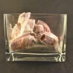 Glazen bak ("accubak") met decoratieschelpen