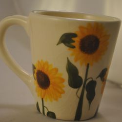 Kop (zonnebloemen)