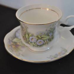 kop en schotel "Cambridge Garden Collection"