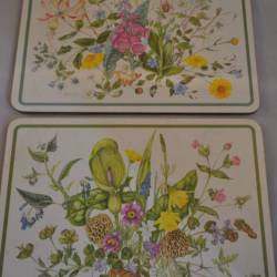 2 onderzetters/placemats (24 x 19 cm)
