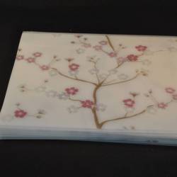 23 plastic placemats