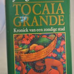 Jorge Amado: Tocaia Grande