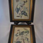 2 ingelijste prenten van Maria Sibylla Merian