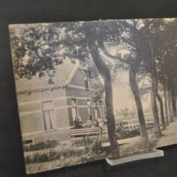 Ansichtkaart Groeten uit Vlachtwedde (huis aan straat met bomen)