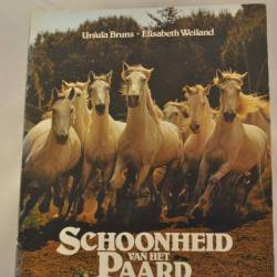 Ursula Bruns/Elisabeth Weiland: Schoonheid van het paard