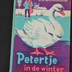 J.L. Schoolland: Petertje in de winter