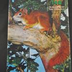 Puzzel Eekhoorn (140 stukjes)  30 x 22 cm