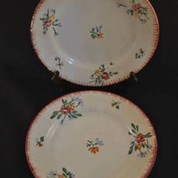 2 borden, bloemetjes decor (Didier, France)