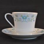 Kop en schotel (TP Tientsin Porcelain Made in China)
